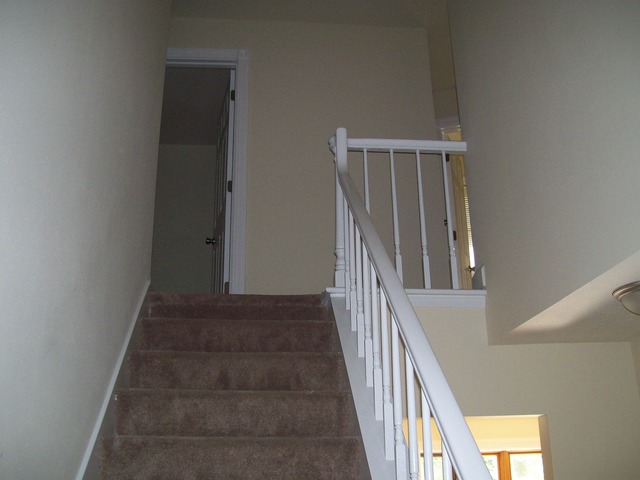 537 Morgan Dr, Williams Bay, WI 53191 photo 17