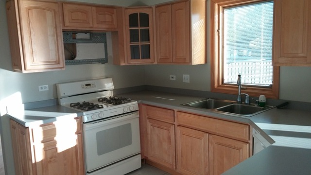 540 Abbey Rd, Bartlett, IL 60103 photo 15