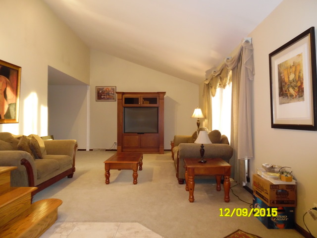 17211 S Drauden Rd, Plainfield, IL 60586 photo 5