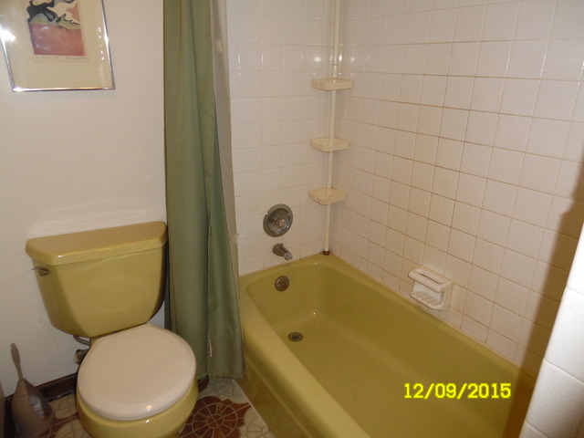 17211 S Drauden Rd, Plainfield, IL 60586 photo 11
