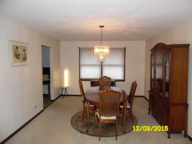 17211 S Drauden Rd, Plainfield, IL 60586 photo 6