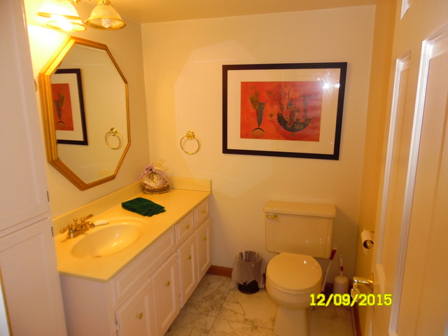 17211 S Drauden Rd, Plainfield, IL 60586 photo 10
