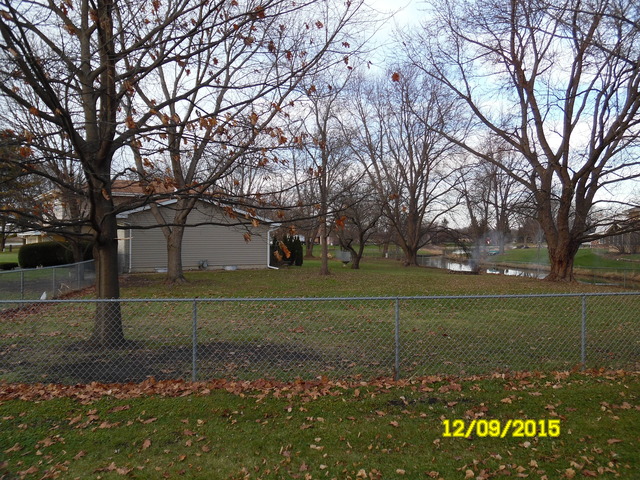 17211 S Drauden Rd, Plainfield, IL 60586 photo 20
