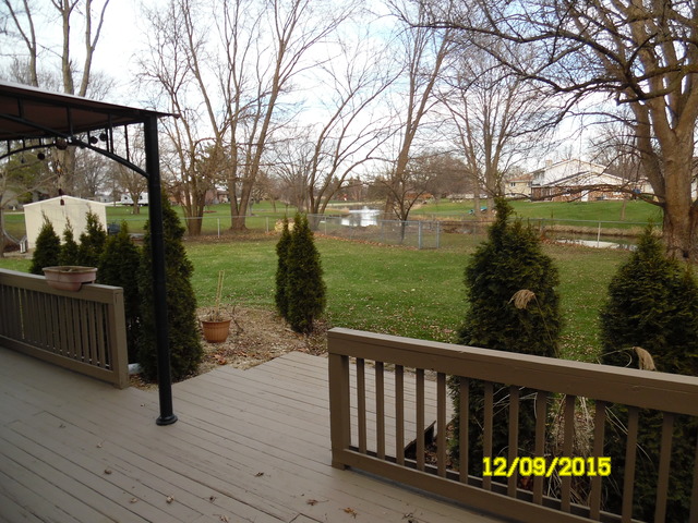 17211 S Drauden Rd, Plainfield, IL 60586 photo 4