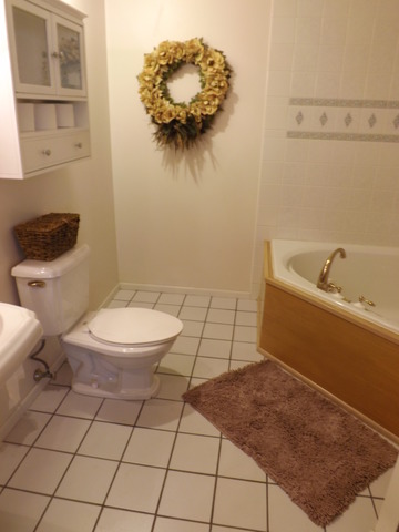 960 Foster Ave, Bartlett, IL 60103 photo 8