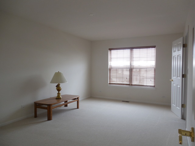 16407 Fairfield Dr, Plainfield, IL 60586 photo 23