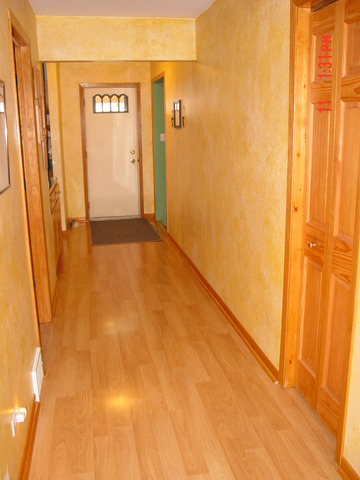 7436 S Thomas Ave, Bridgeview, IL 60455 photo 9
