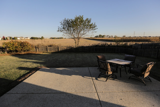 25063 Vermette Rd, Plainfield, IL 60585 photo 25