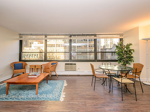 33 E Cedar St #5g, Chicago, IL 60611 photo 8