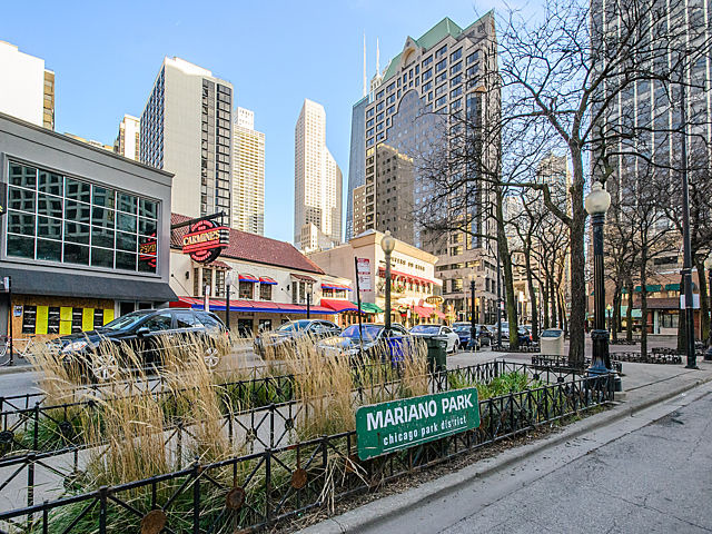 33 E Cedar St #5g, Chicago, IL 60611 photo 21