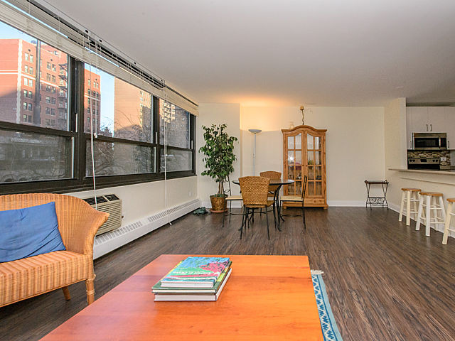 33 E Cedar St #5g, Chicago, IL 60611 photo 3