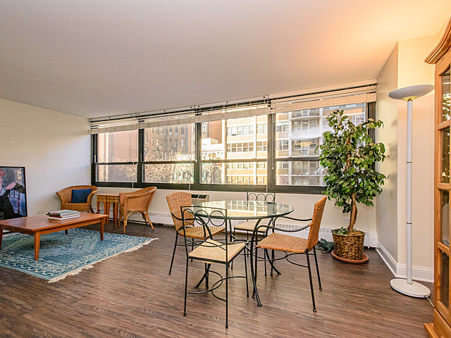 33 E Cedar St #5g, Chicago, IL 60611 photo 4