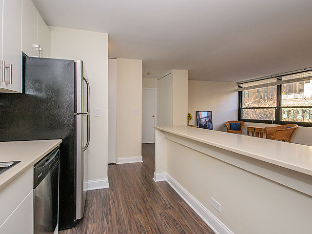 33 E Cedar St #5g, Chicago, IL 60611 photo 11