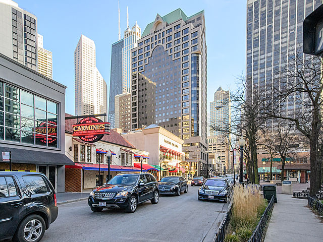 33 E Cedar St #5g, Chicago, IL 60611 photo 20