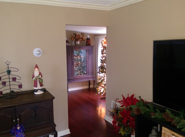 1508 White St, Des Plaines, IL 60018 photo 6