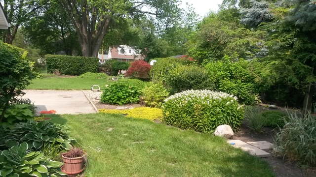 1508 White St, Des Plaines, IL 60018 photo 18