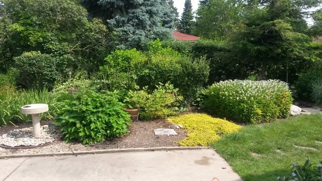 1508 White St, Des Plaines, IL 60018 photo 20