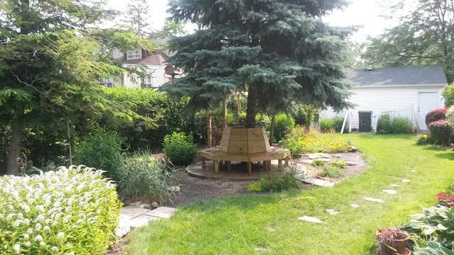 1508 White St, Des Plaines, IL 60018 photo 19