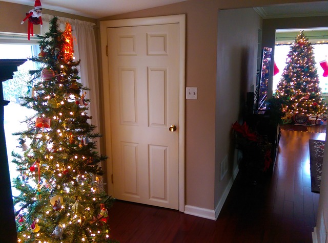 1508 White St, Des Plaines, IL 60018 photo 16