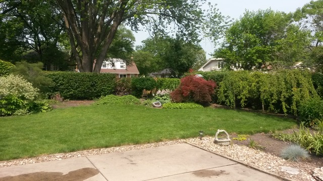 1508 White St, Des Plaines, IL 60018 photo 21