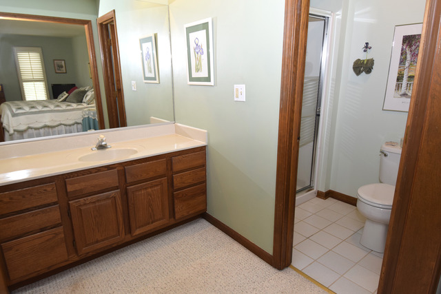 29 W446 Garden Dr, Bartlett, IL 60103 photo 14