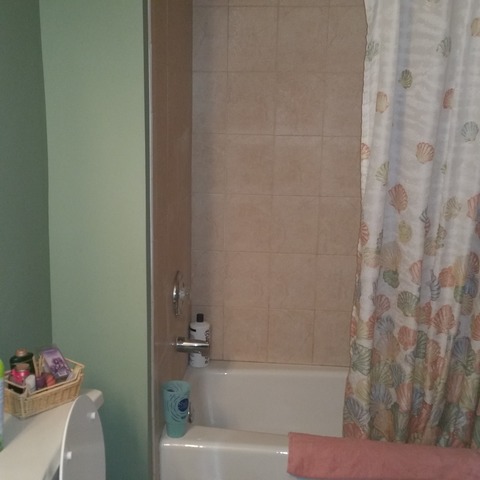 15732 Sawyer Ave, Markham, IL 60428 photo 5