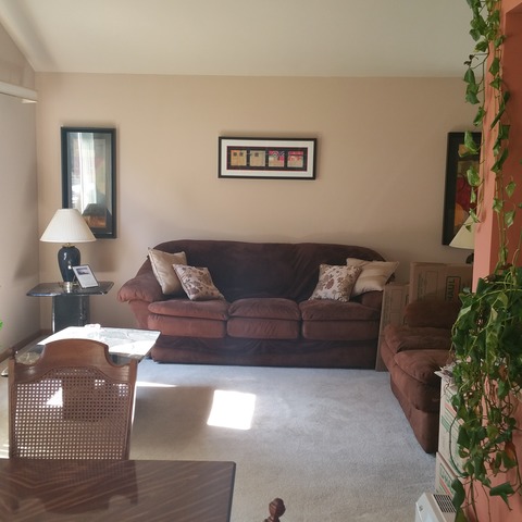 15732 Sawyer Ave, Markham, IL 60428 photo 2