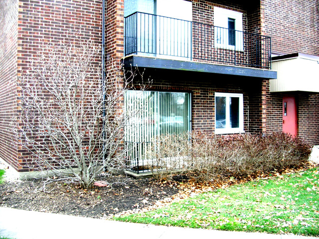 1575 Sandpebble Dr #116, Wheeling, IL 60090 photo 3