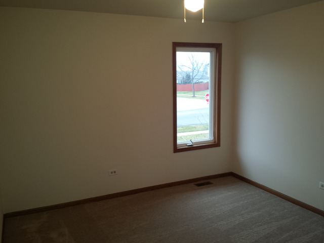 6613 Benich Ln, Plainfield, IL 60586 photo 15