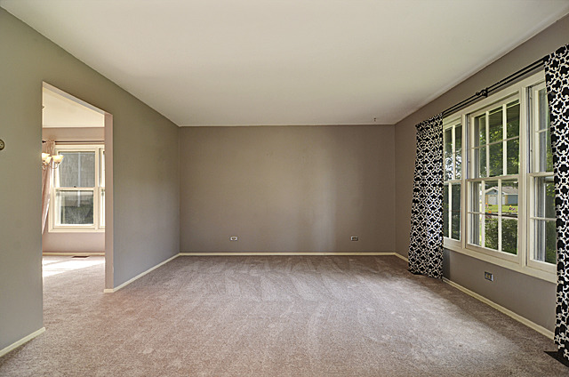 1290 Nottingham Ln, Hoffman Estates, IL 60169 photo 6