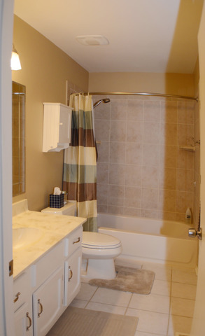 359 Pearson Cir, Naperville, IL 60563 photo 12