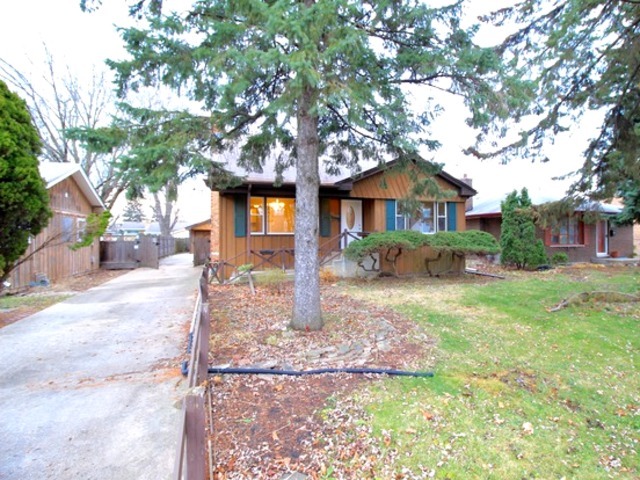 237 S Yale Ave, Addison, IL 60101 photo 2