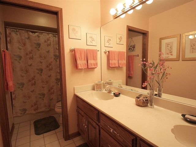 33 W120 Brewster Creek Cir, Wayne, IL 60184 photo 20