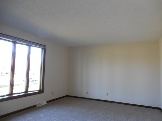 114 Blackhawk Dr, Minooka, IL 60447 photo 7