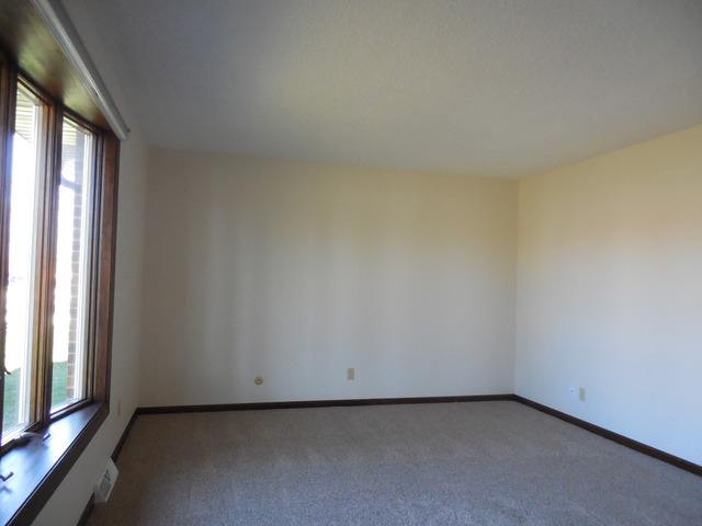 114 Blackhawk Dr, Minooka, IL 60447 photo 10