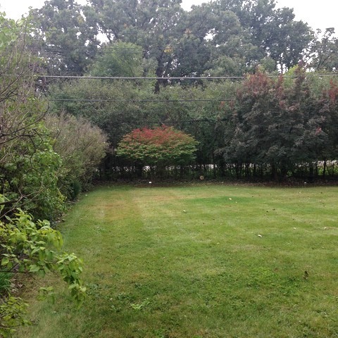 3600 Parthenon Way, Olympia Fields, IL 60461 photo 21