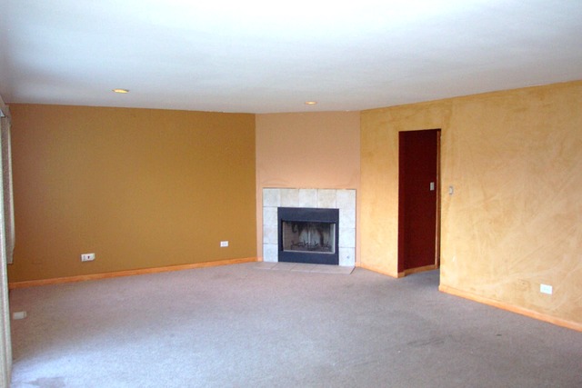 1030 E 90th St, Chicago, IL 60619 photo 16