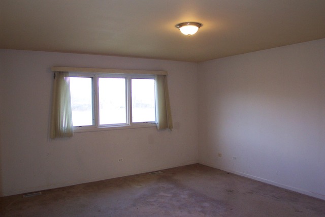 1030 E 90th St, Chicago, IL 60619 photo 8