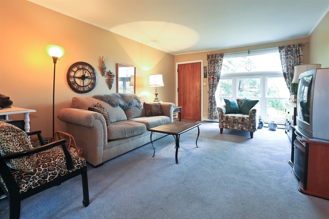 1075 E Villa Dr, Des Plaines, IL 60016 photo 2