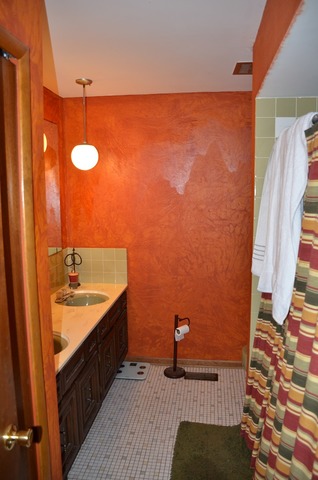6224 Forestview Dr, Oak Forest, IL 60452 photo 7