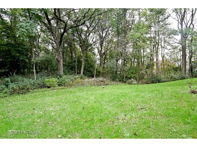 51 Gromer Rd, Elgin, IL 60120 photo 17