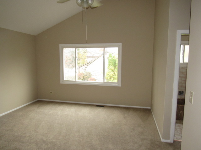 320 Forest Ave, Roselle, IL 60172 photo 14