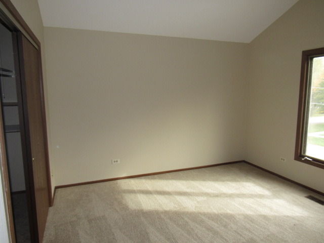 320 Forest Ave, Roselle, IL 60172 photo 23