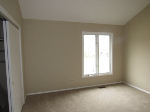 320 Forest Ave, Roselle, IL 60172 photo 19