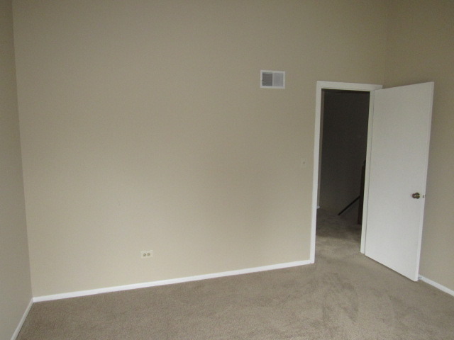 320 Forest Ave, Roselle, IL 60172 photo 20