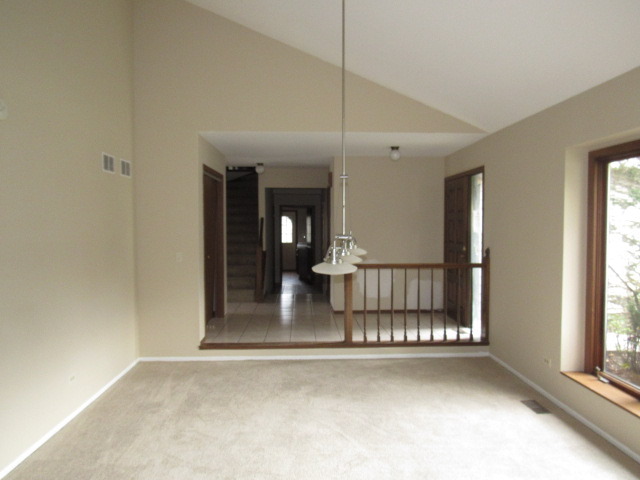 320 Forest Ave, Roselle, IL 60172 photo 3