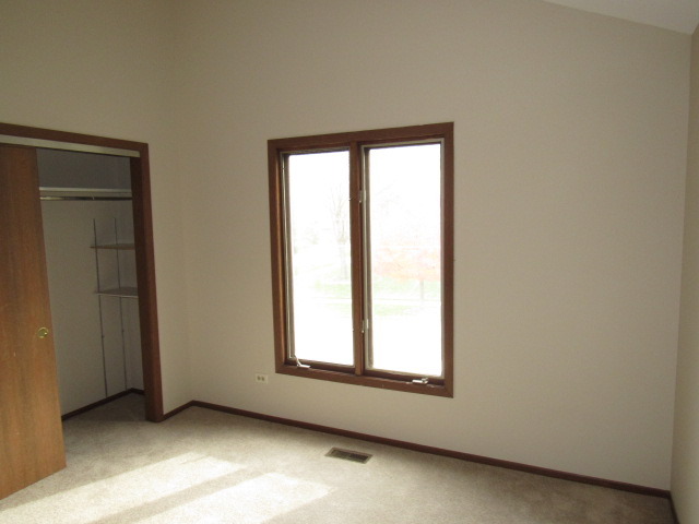 320 Forest Ave, Roselle, IL 60172 photo 22