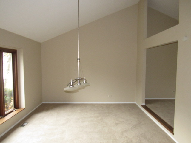 320 Forest Ave, Roselle, IL 60172 photo 2