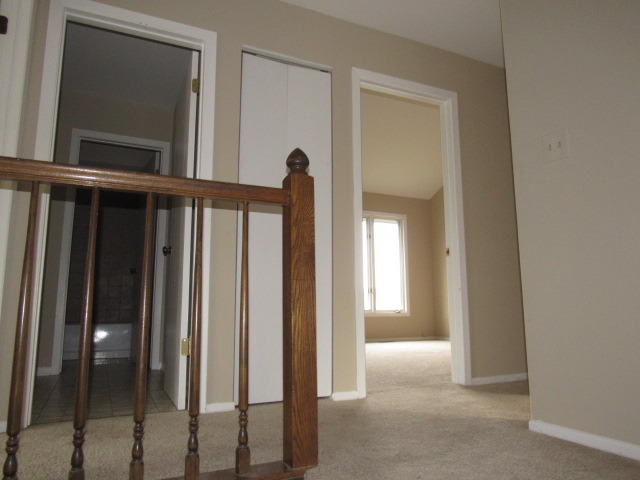320 Forest Ave, Roselle, IL 60172 photo 11
