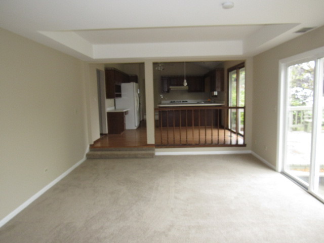 320 Forest Ave, Roselle, IL 60172 photo 8